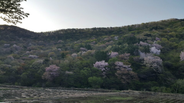 사본 -1451357977270.jpg